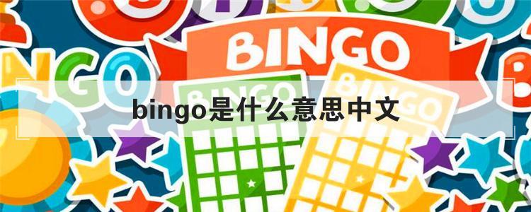 bingo官方网址（bingo china）